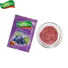 Best Sale Concentrate Flavored Instant Drink Grape Fruit Juice Powder