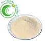 /product-detail/wholesale-gmp-standard-high-purity-natural-bulk-dehydrated-onion-powder-for-seasoning-60825733047.html