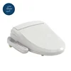 /product-detail/bathroom-automatic-wash-heated-seat-electric-bidet-toilet-seat-62190086843.html