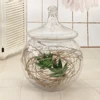 wholesale round clear glass storage jar with glass lid cover for candy sugar tea coffee canister pot apothecary candy buffet