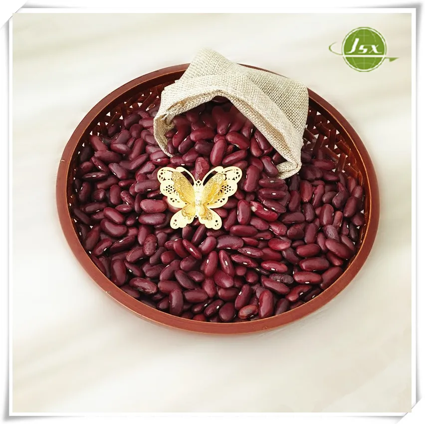JSX Dark Red Kidney Beans Crop Top From China