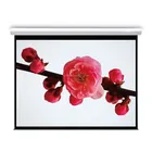 High Quality Black Diamond Projection Screen Electric Wall Mounted Projector Screen