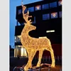 /product-detail/outdoor-commercial-christmas-lights-3d-led-reindeer-light-motif-for-holiday-decoration-60788345788.html