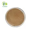 Faithful supply Platycodon grandiflorum powder in Bulk