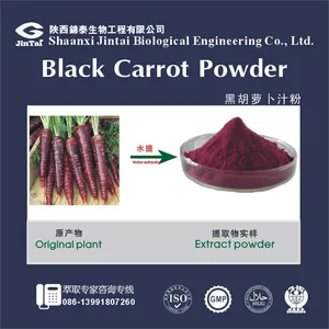 organic black carrot powder/black carrot anthocyanin/pigment