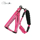 Pet Safety Comfortable Padded Handle Training Harness Soft Nylon Rope dog bungee leash