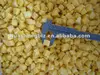 /product-detail/supply-iqf-frozen-mango-dices-527138462.html