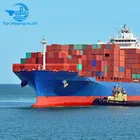 Top Shipping - DDU DDP sea freight door to door delivery service from China to USA Canada UK Germany Italy