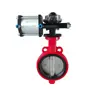 Wide Range of Uses Automatic Manual Control Pneumatic Soft Seal Flange Type Clip Type Butterfly Valve