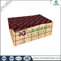 18mm Plastic Coated Film Faced Plywood
