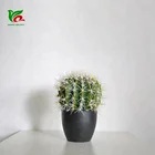 Decorative 28cm Ball Cactus Artificial Cactus Plant And Succulents For Home Decor
