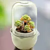 Hot ! mini electronic smart hydroponics kids flower garden flowerpot lamp diy water flower garden