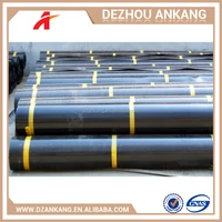 High Quality Liner Factory Price Geosynthetic