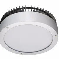 5 Years Warranty 60W Led Canopy