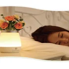 Fire Creative Touch Vase Bedroom Bedside Dimmable Luminous Fun Potted Flower Fire Lamp