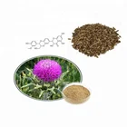 Pharmaceutical Grade Silymarin Powder/Milk Thistle Extract 80 Silybin Bulk