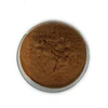/product-detail/cocoa-seed-powder-60782431409.html