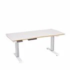 Kid2Youth TCT DWS-3X Home Office Sit Stand Desk Electric Height Adjustable Desk