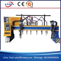 High Effectively Gantry Steel Strip Cutting