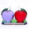 DIY red apple and purple Apple crystal trophy business gift custom glass trophy