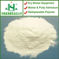 China Best Manufacturer Building Materials HPMC