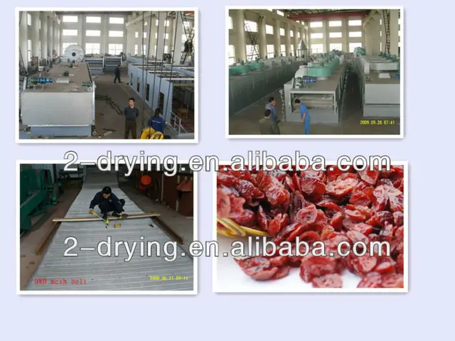 fruit machine,washingmachine dry fruit machine image