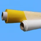 Plain Weave Polyester Monofilament Screen Printing Mesh/Bolting Cloth/Polyester Silk Screen Printing Mesh for Textile