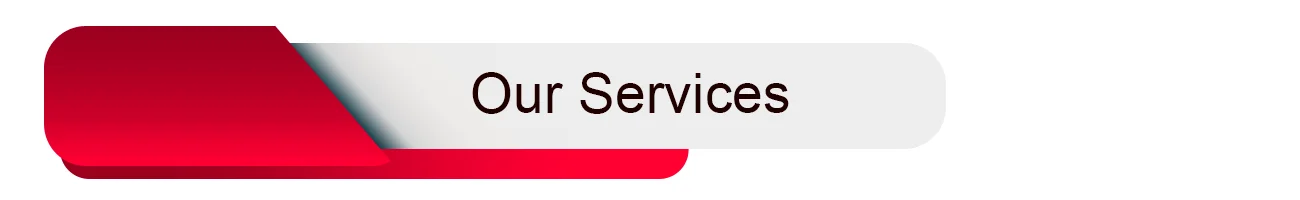 Our Services.png