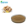 Natural Organic Dried Black Ginger Root Extract