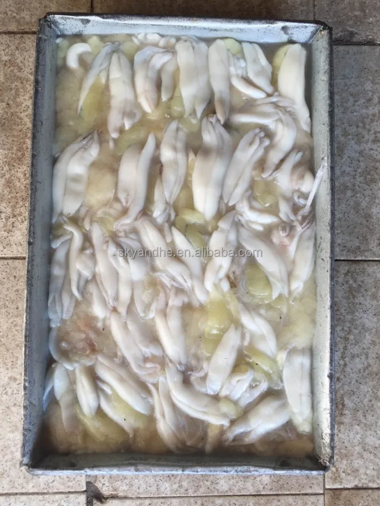 Fresco congelado illex argentinus squid roe