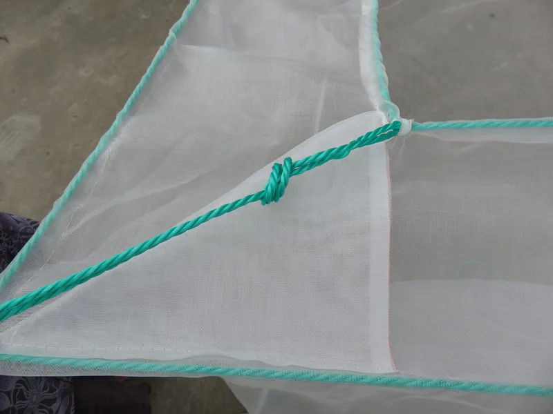 3209785627_102066416