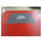 BJJ Jujitsu Tatami Judo MMA Grappling Mats