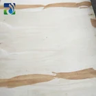 Waterproof construction material film faced plywood with phenolic wbp glue