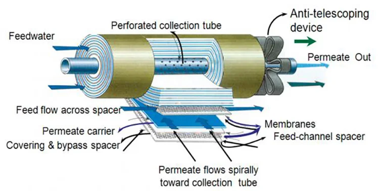 membrane system.jpg