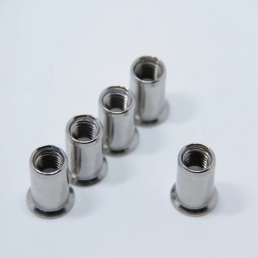 Stainless Steel Ss304 Ss316 Flat Head Csk Head Rivet Nuts Threaded