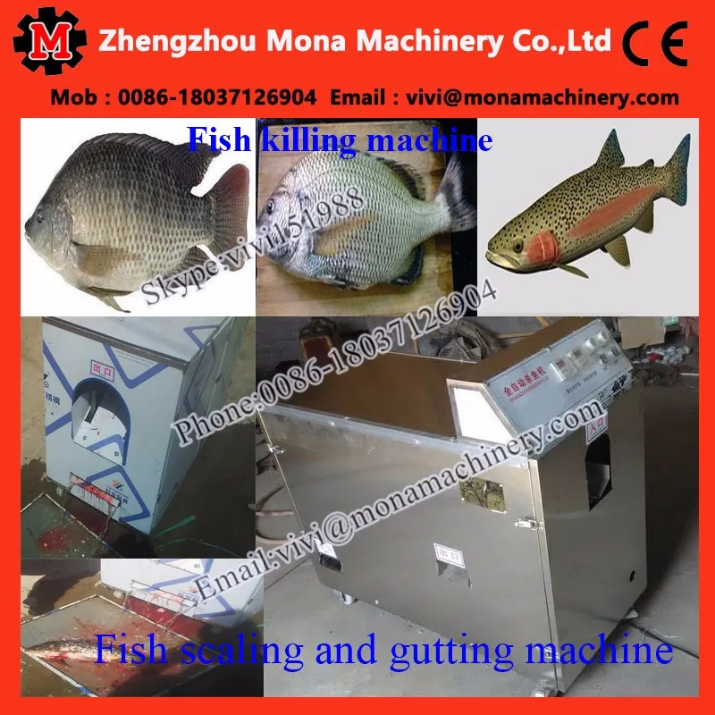 Fish scaling and gutting machine (1).jpg