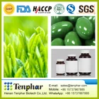 Diet Weight Loss Green Tea Weight Loss Softgels Natural Herbal Slim Diet Green Tea Weight Loss Soft Capsules Softgels