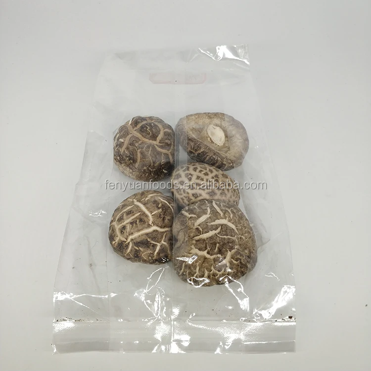 healthy fresh dry mushrooms shitake
