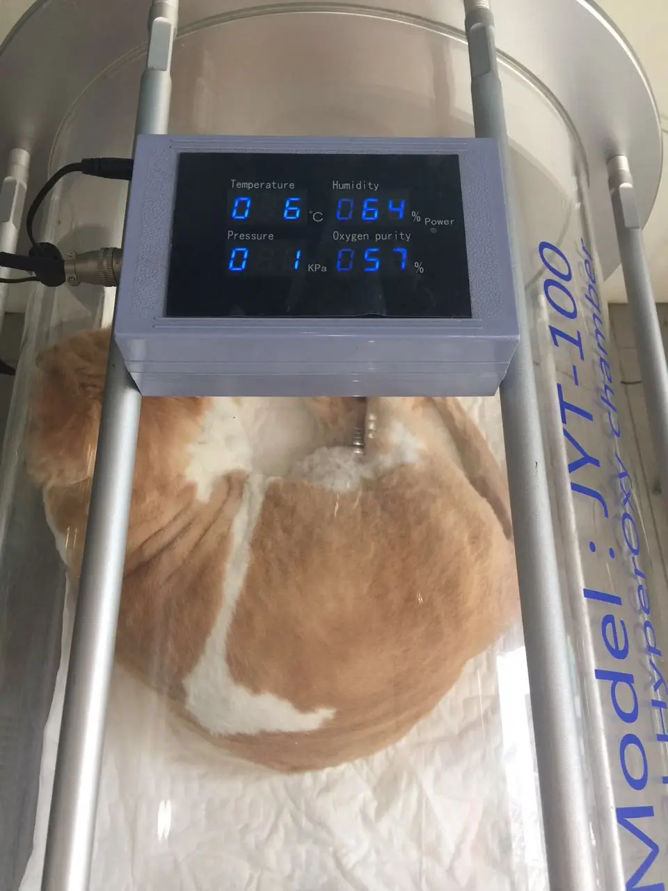 동물 Hyperbaric 챔버 Hyperbaric 산소 치료 챔버 제조 업체 Buy 고압산소요법 산소 약실 동물 고압산소요법