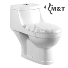 660mm tall power top double flush washdown one piece toilets for sale