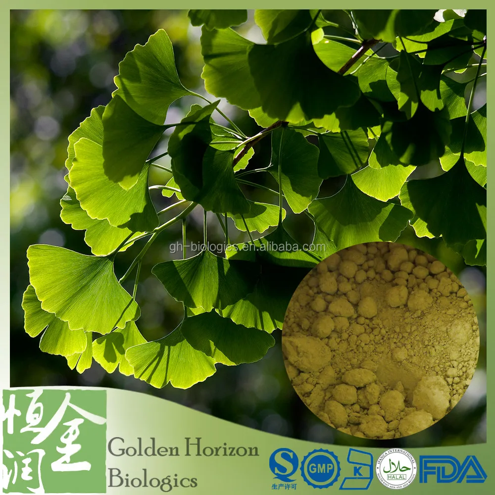 ginkgo lactone