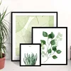 Custom Square Fresh Leaves 10x10 Photo Picture Frame
