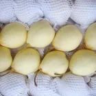 Pear packaging net one side tapered foam mesh sleeve