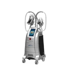 Winkonlaser Cryolipolysis Beauty Salon Equipment / Fat Freezing Beauty Salon Equipment / Lipo Cryo