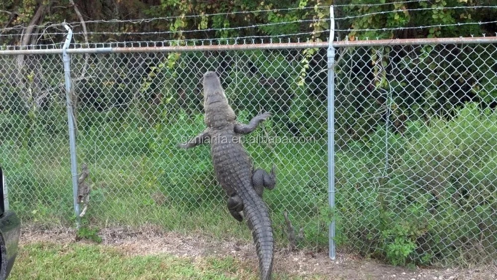 Chain Link Fence Accessories