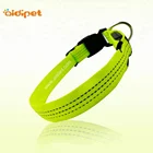 Durable Nylon Custom Dog Collar, Adjustable Dog Training Collar