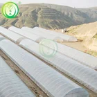 High Quality Glass Green Houses Agriculture