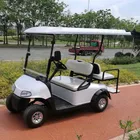 cheap single seat Custom electric golf cart for sale