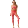 /product-detail/ptsports-custom-workout-yoga-sets-clothes-fitness-yoga-leggings-seamless-gym-tights-and-sports-bra-set-for-women-62055542661.html