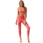 Ptsports Custom Workout Yoga Sets Clothes Fitness Yoga Leggings Seamless Gym Tights and Sports Bra Set For Women